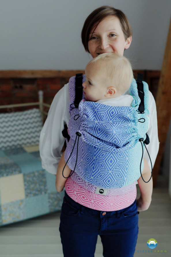 little frog ergonomic carrier