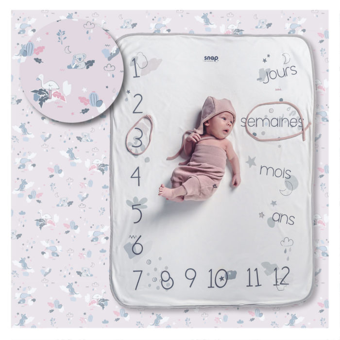 Couverture Etapes SNAP - Savanna