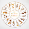 HELLO MOON Cartes étapes Ma première année – Modèle Terracotta – Image 4