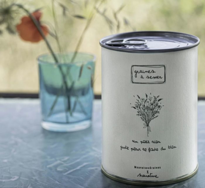 MauvaisesGraines Kit à semer "Un petit rien"
